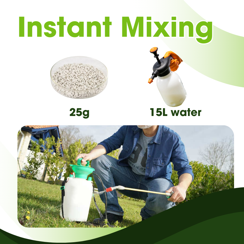 🌿TLOPA® WeedAway 2-in-1 Herbicide 💚 LIMITED OFFER UP TO 60% OFF