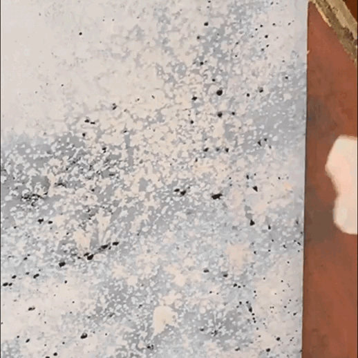 TLOPA® Fast Acting Anti-Mold Wall Cleaner Spray