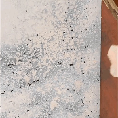 TLOPA® Fast Acting Anti-Mold Wall Cleaner Spray