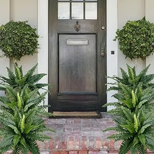 🔥Last Day 75% OFF🌿TLOPA®UV Resistant Lifelike Artificial Boston Fern