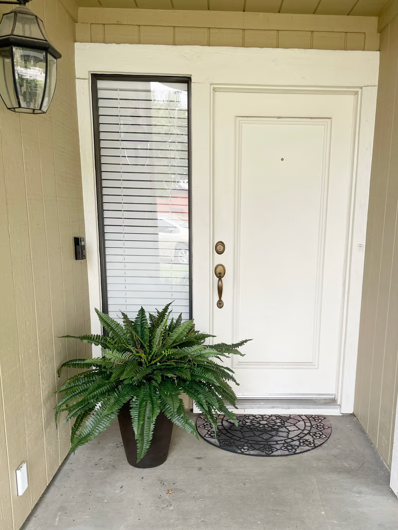 🔥Last Day 75% OFF🌿TLOPA®UV Resistant Lifelike Artificial Boston Fern