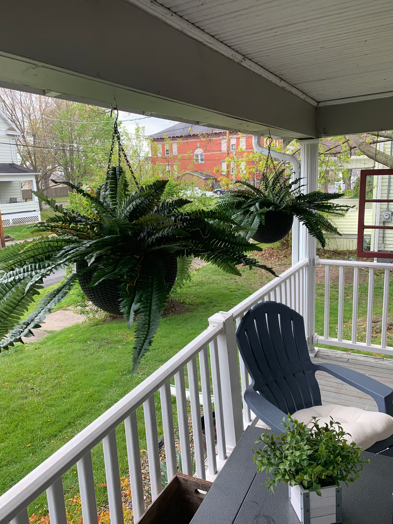 🔥Last Day 75% OFF🌿TLOPA®UV Resistant Lifelike Artificial Boston Fern