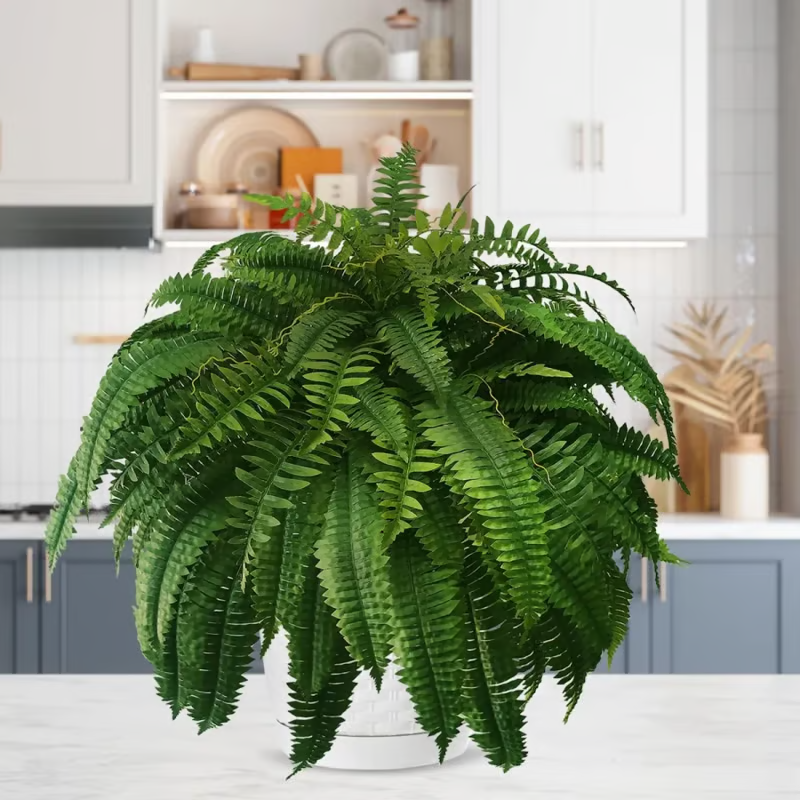 🔥Last Day 75% OFF🌿TLOPA®UV Resistant Lifelike Artificial Boston Fern
