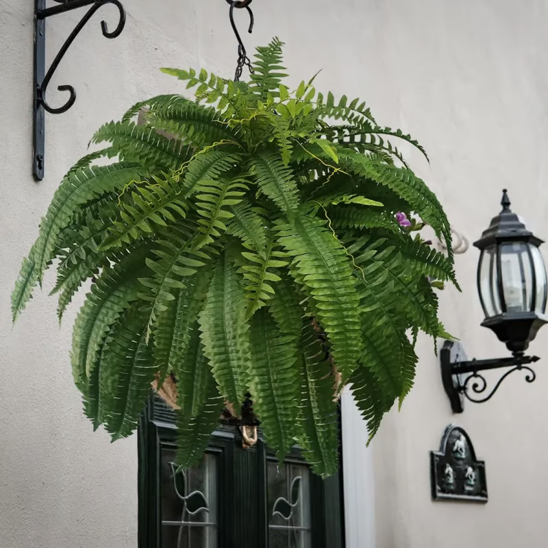 🔥Last Day 75% OFF🌿TLOPA®UV Resistant Lifelike Artificial Boston Fern