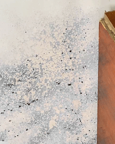 🎉New Year's Special Offer 60% OFF TODAY🔥 Trilumia® Fast Acting Anti Mold Wall Cleaner Spray
