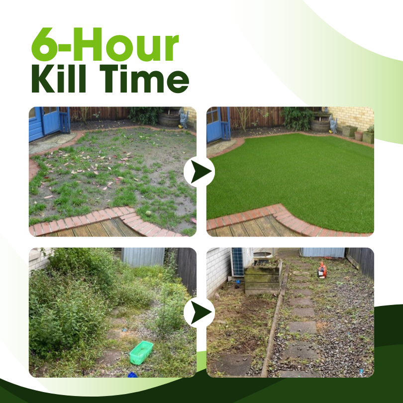 🌿TLOPA® WeedAway 2-in-1 Herbicide 💚 LIMITED OFFER UP TO 60% OFF