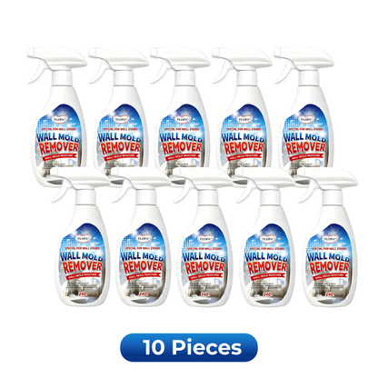 TLOPA® Fast Acting Anti-Mold Wall Cleaner Spray