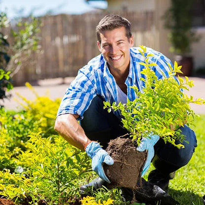 ⏰Flash Sale 50% OFF🔥TLOPA® Soil Activator