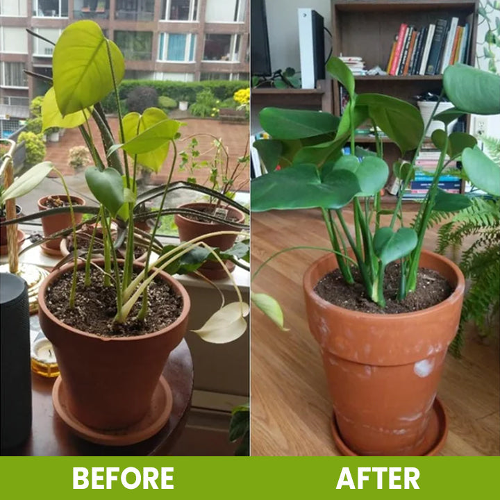 ⏰Flash Sale 50% OFF🔥TLOPA® Soil Activator