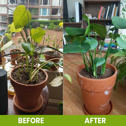 ⏰Flash Sale 50% OFF🔥TLOPA® Soil Activator