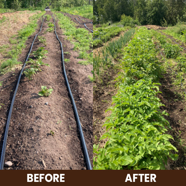 ⏰Flash Sale 50% OFF🔥TLOPA® Soil Activator