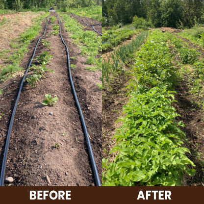 ⏰Flash Sale 50% OFF🔥TLOPA® Soil Activator