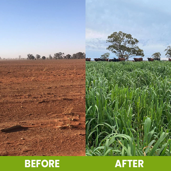 ⏰Flash Sale 50% OFF🔥TLOPA® Soil Activator