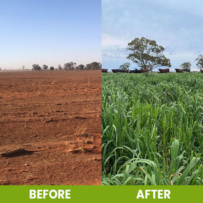 ⏰Flash Sale 50% OFF🔥TLOPA® Soil Activator