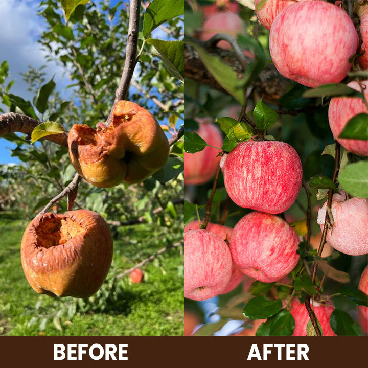 ⏰Flash Sale 50% OFF🔥TLOPA® Soil Activator