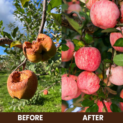 ⏰Flash Sale 50% OFF🔥TLOPA® Soil Activator