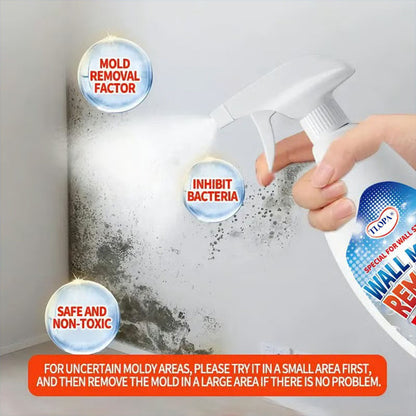 TLOPA® Fast Acting Anti-Mold Wall Cleaner Spray