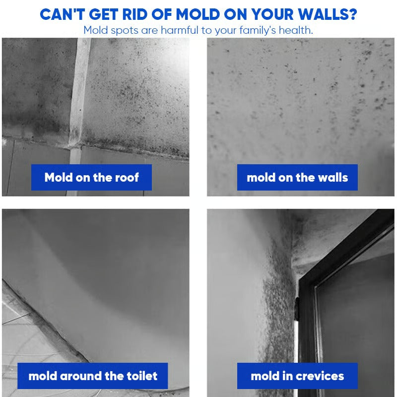 TLOPA® Fast Acting Anti-Mold Wall Cleaner Spray
