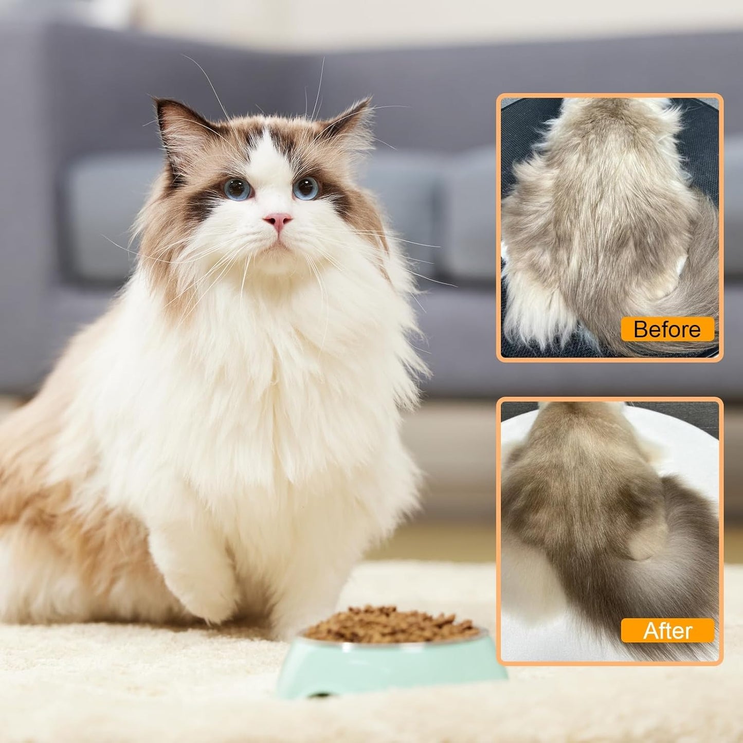 🐾TLOPA® Pet Spray Grooming Brush 😺 🐶