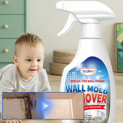 TLOPA® Fast Acting Anti-Mold Wall Cleaner Spray