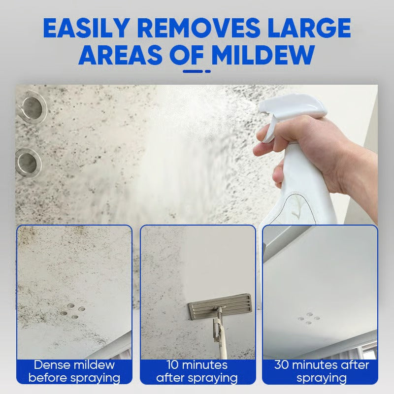 🎉New Year's Special Offer 60% OFF TODAY🔥 Trilumia® Fast Acting Anti Mold Wall Cleaner Spray