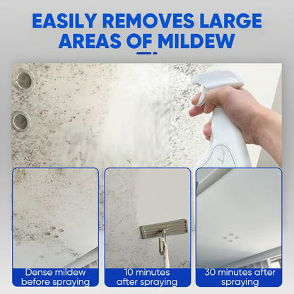 🎉New Year's Special Offer 60% OFF TODAY🔥 Trilumia® Fast Acting Anti Mold Wall Cleaner Spray