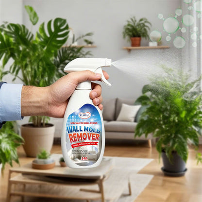 TLOPA® Fast Acting Anti-Mold Wall Cleaner Spray