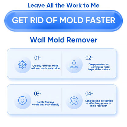 TLOPA® Fast Acting Anti-Mold Wall Cleaner Spray
