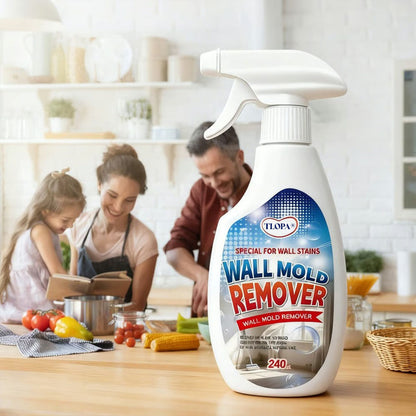 TLOPA® Fast Acting Anti-Mold Wall Cleaner Spray