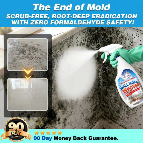 🎉New Year's Special Offer 60% OFF TODAY🔥 Trilumia® Fast Acting Anti Mold Wall Cleaner Spray