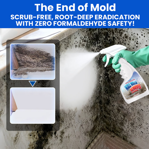 🔥NEW UPGRADED VERSION – 60% OFF 🔥TLOPA® Quick-Acting Anti-Mold Wall Cleaner Spray