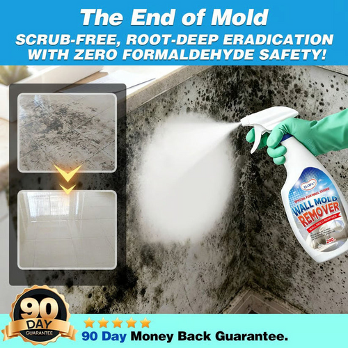 🔥NEW UPGRADED VERSION: 60% OFF + FREESHIPPING🔥TLOPA® Fast Acting Anti-Mold Wall Cleaner Spray